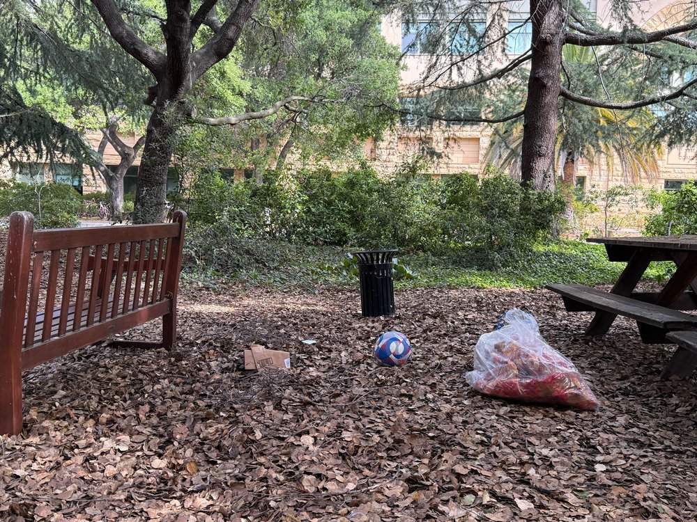 Outdoor park in daylight with a wooden bench, a trash can, a plastic bag and a picnic table among fallen leaves